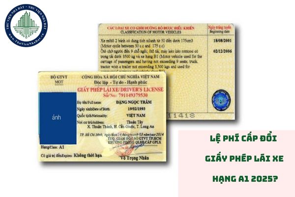 Lệ phí cấp đổi giấy phép lái xe hạng A1 2025? Đổi giấy phép lái xe hạng A1 2025? (hình từ internet)