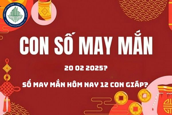 Số may mắn tài lộc 20 02 2025? Số may mắn hôm nay 12 con giáp? 