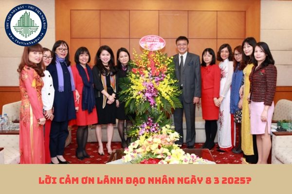 Lời cảm ơn lãnh đạo nhân ngày 8 3 2025? Lời cảm ơn lãnh đạo ý nghĩa nhất?