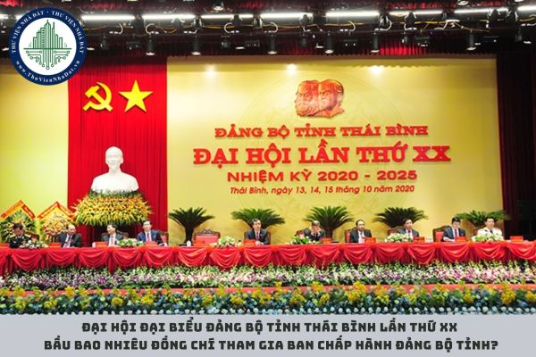 Đại hội đại biểu Đảng bộ tỉnh Thái Bình lần thứ XX, nhiệm kỳ 2020 2025 đã bầu bao nhiêu đồng chí tham gia Ban Chấp hành Đảng bộ tỉnh?