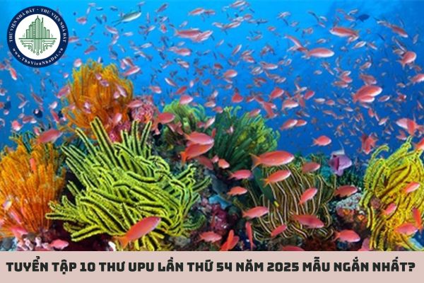 Tuyển tập 10 thư UPU lần thứ 54 năm 2025 mẫu ngắn nhất? Thư UPU lần thứ 54 tưởng tượng bạn là đại dương?