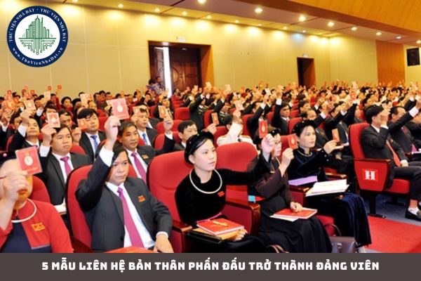 5 Mẫu liên hệ bản thân phấn đấu trở thành Đảng viên