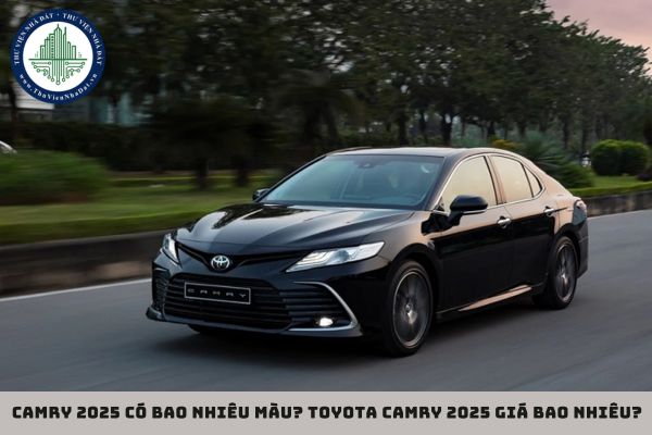 Camry 2025 có bao nhiêu màu? Toyota Camry 2025 giá bao nhiêu? (hình từ internet)