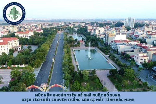 Mức nộp khoản tiền để Nhà nước bổ sung diện tích đất chuyên trồng lúa bị mất tỉnh Bắc Ninh