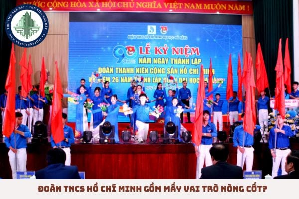 Đoàn TNCS Hồ Chí Minh gồm mấy vai trò nòng cốt?