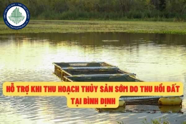 Bình Định: Hộ gia đình, cá nhân phải thu hoạch thủy sản sớm do thu hồi đất thì có được bồi thường hay không?