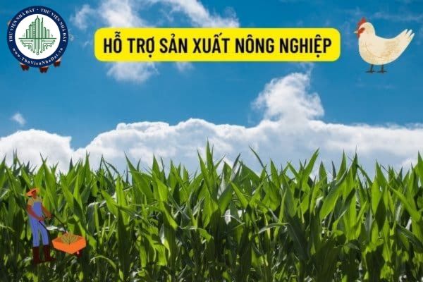Dự kiến chính sách hỗ trợ sản xuất nông nghiệp để khôi phục sản xuất vùng bị thiệt hại do thiên tai, dịch bệnh như thế nào? 