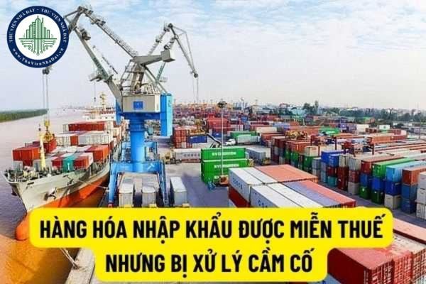 Hàng hóa nhập khẩu là đối tượng miễn thuế đem cầm cố, thế chấp bị TCTD xử lý để thu hồi nợ thì việc kê khai, nộp thuế giải quyết như thế nào?