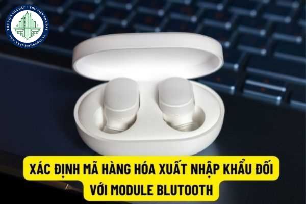 Tai nghe không dây (Module bluetooth) được xác định mã hiệu trong Danh mục hàng hóa xuất nhập khẩu Việt Nam?