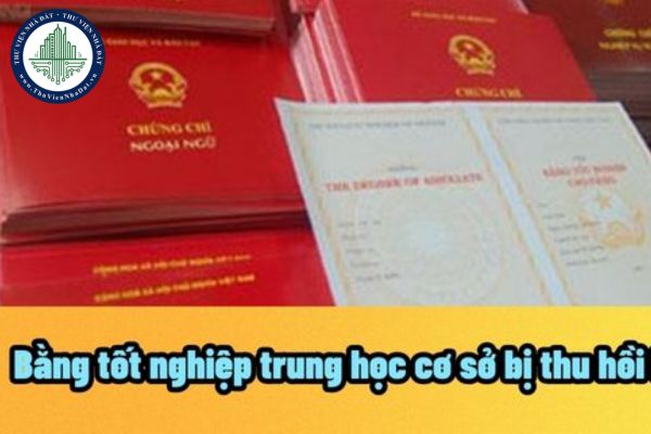 thuviennhadat.vn