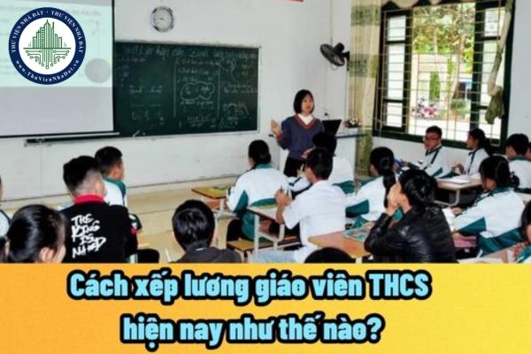 Cách xếp lương giáo viên THCS hiện nay như thế nào? Mức lương mới dành cho giáo viên THCS năm 2024?
