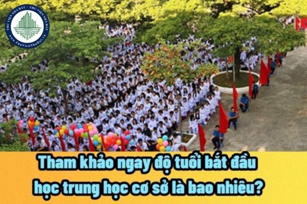 Tham khảo ngay độ tuổi bắt đầu học trung học cơ sở là bao nhiêu? Học sinh trung học cơ sở có hạnh kiểm trung bình thì có được lên lớp hay không?