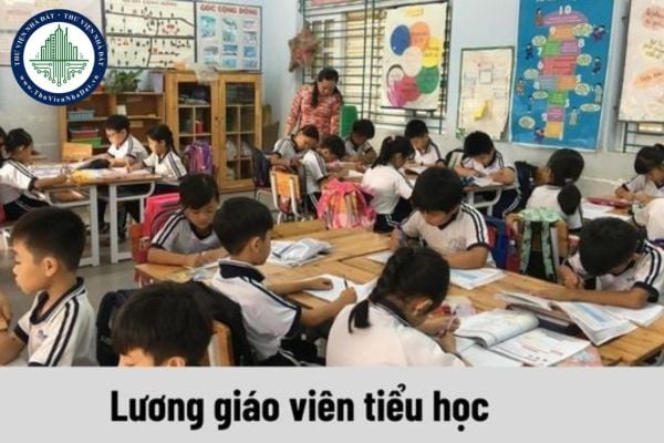 Lương giáo viên tiểu học năm 2024 ra sao khi tăng lương cơ sở lên 2,34?