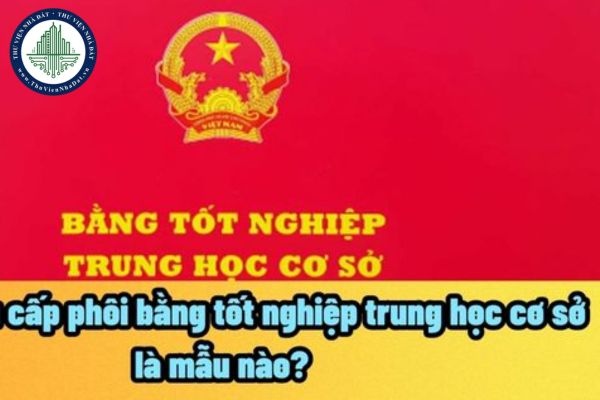 thuviennhadat.vn