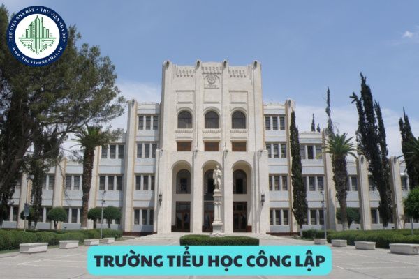 Trong trường tiểu học công lập có những hội đồng nào? Thẩm quyền thành lập các hội đồng trong trường tiểu học?