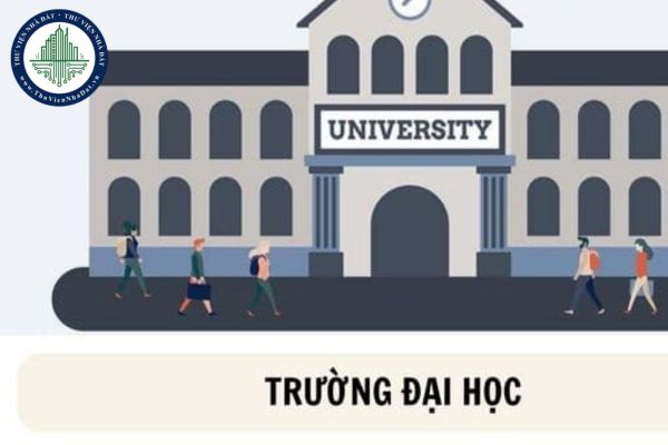 Trường đại học bị giải thể khi nào? Hồ sơ giải thể trường đại học gồm những gì?