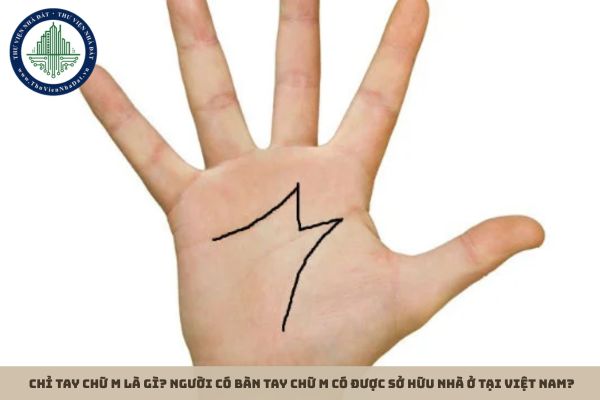 Chỉ tay chữ M là gì? Người có bàn tay chữ M có được sở hữu nhà ở tại Việt Nam?