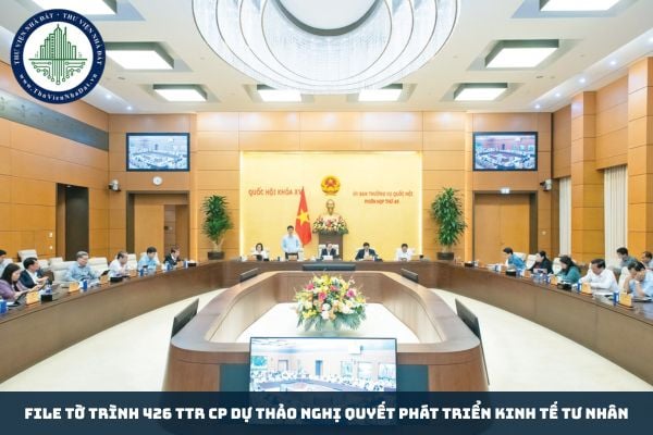 File Tờ trình 426 TTr CP Dự thảo Nghị quyết phát triển kinh tế tư nhân (Hình từ Internet)