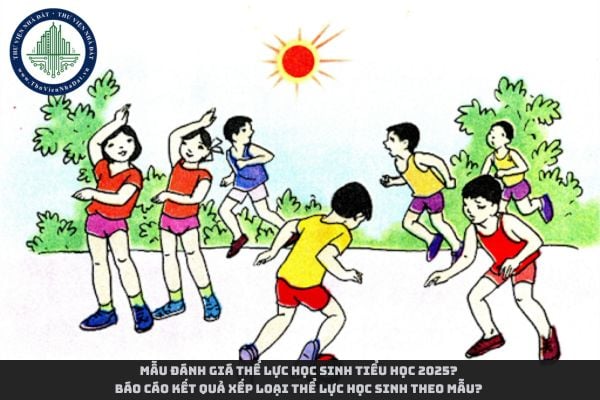 Mẫu đánh giá thể lực học sinh tiểu học 2025? Báo cáo kết quả xếp loại thể lực học sinh theo mẫu?