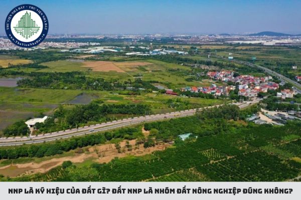 NNP là ký hiệu của đất gì? Đất NNP là nhóm đất nông nghiệp đúng không?
