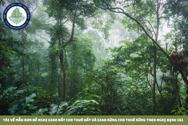 Tải về mẫu đơn đề nghị giao đất cho thuê đất và giao rừng cho thuê rừng theo Nghị định 151