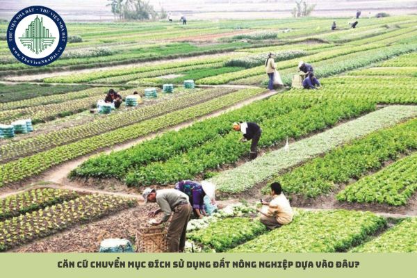Căn cứ chuyển mục đích sử dụng đất nông nghiệp dựa vào đâu?