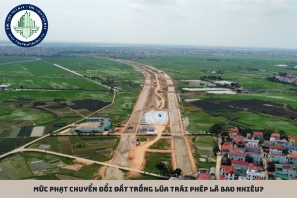 Mức phạt chuyển đổi đất trồng lúa trái phép là bao nhiêu?