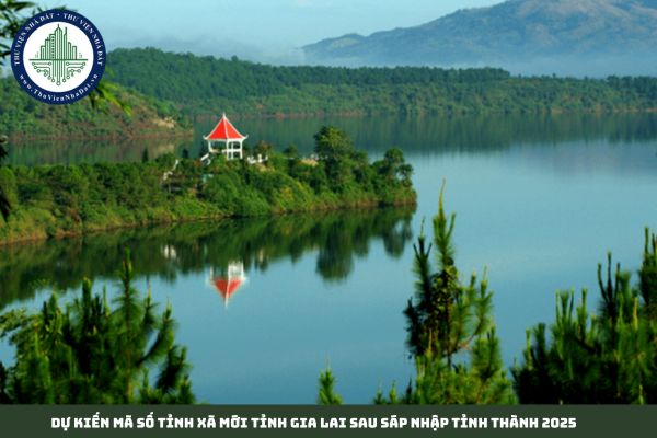 Dự kiến mã số tỉnh xã mới tỉnh Gia Lai sau sáp nhập tỉnh thành 2025