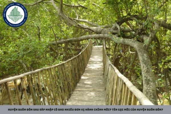 Huyện Buôn Đôn sau sáp nhập có bao nhiêu đơn vị hành chính mới? Tên gọi mới của huyện Buôn Đôn?