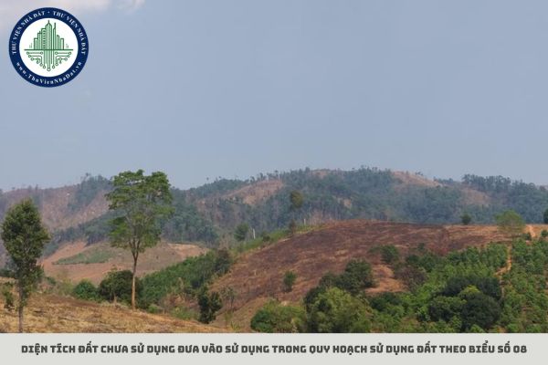 Diện tích đất chưa sử dụng đưa vào sử dụng trong quy hoạch sử dụng đất theo Biểu số 08