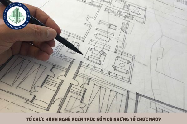 Tổ chức hành nghề kiến trúc gồm có những tổ chức nào?