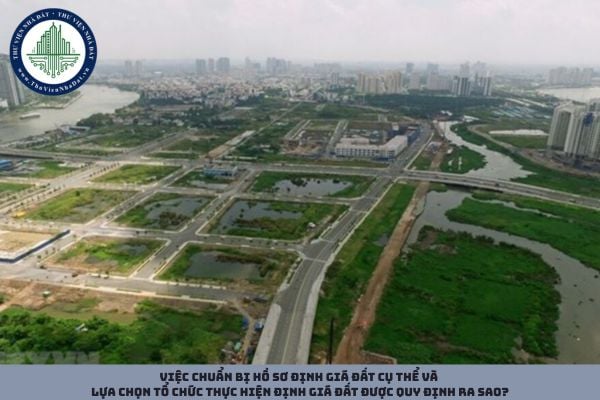 Việc chuẩn bị hồ sơ định giá đất cụ thể và lựa chọn tổ chức thực hiện định giá đất được quy định ra sao?