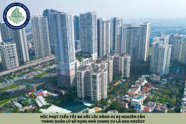 Mức phạt tiền tối đa với các hành vi bị nghiêm cấm trong quản lý sử dụng nhà chung cư là bao nhiêu?