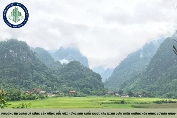 Phương án quản lý rừng bền vững đối với rừng sản xuất được xác định dựa trên những nội dung cơ bản nào?
