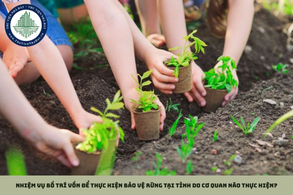 Nhiệm vụ bố trí vốn để thực hiện bảo vệ rừng tại tỉnh do cơ quan nào thực hiện?