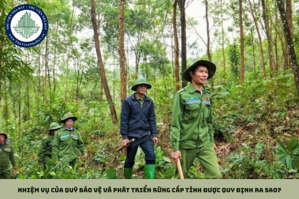 Nhiệm vụ của quỹ Bảo vệ và phát triển rừng cấp tỉnh được quy định ra sao?