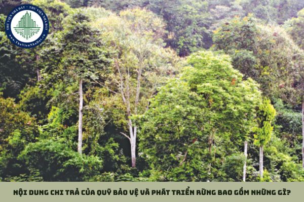 Nội dung chi trả của Quỹ Bảo vệ và phát triển rừng bao gồm những gì?