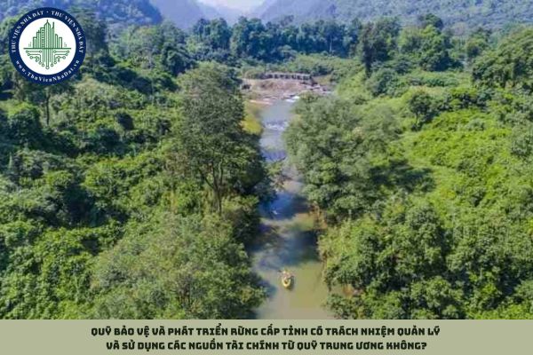 Quỹ Bảo vệ và phát triển rừng cấp tỉnh có trách nhiệm quản lý và sử dụng các nguồn tài chính từ Quỹ trung ương không?