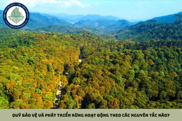 Quỹ bảo vệ và phát triển rừng hoạt động theo các nguyên tắc nào?
