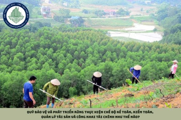 Quỹ Bảo vệ và phát triển rừng thực hiện chế độ kế toán, kiểm toán, quản lý tài sản và công khai tài chính như thế nào?