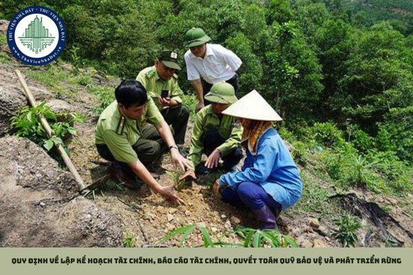 Quy định về lập kế hoạch tài chính, báo cáo tài chính, quyết toán Quỹ Bảo vệ và phát triển rừng