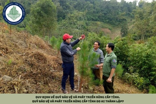 Quy định về quỹ bảo vệ và phát triển rừng cấp tỉnh. Quỹ bảo vệ và phát triển rừng cấp tỉnh do ai thành lập?