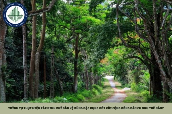 Trình tự thực hiện cấp kinh phí bảo vệ rừng đặc dụng đối với cộng đồng dân cư như thế nào?