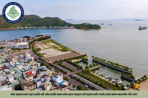 Xác định khu vực biển để lấn biển đưa vào quy hoạch sử dụng đất phải bảo đảm nguyên tắc gì?