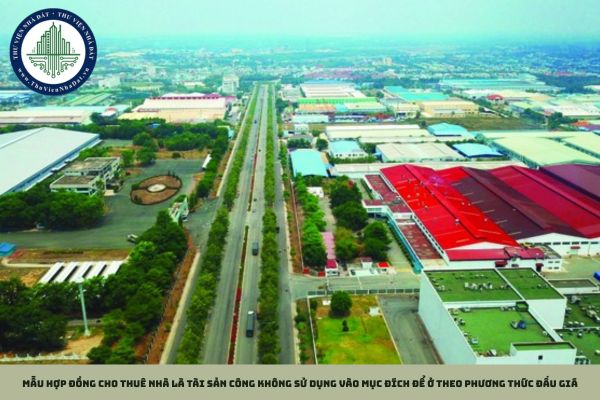 Mẫu hợp đồng cho thuê nhà là tài sản công không sử dụng vào mục đích để ở theo phương thức đấu giá