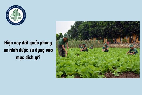 Hiện nay đất quốc phòng an ninh được sử dụng vào mục đích gì?