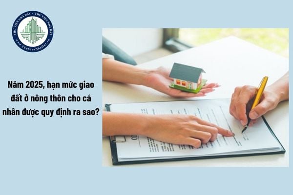 Năm 2025, hạn mức giao đất ở nông thôn cho cá nhân được quy định ra sao?