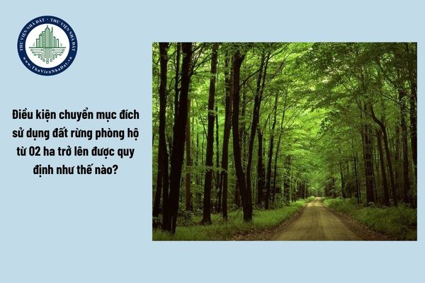 Điều kiện chuyển mục đích sử dụng đất rừng phòng hộ từ 02 ha trở lên được quy định như thế nào?