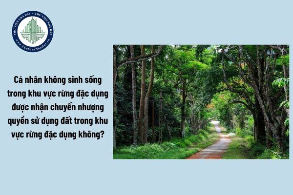 Năm 2025, cá nhân không sinh sống trong khu vực rừng đặc dụng được nhận chuyển nhượng quyền sử dụng đất trong khu vực rừng đặc dụng không?