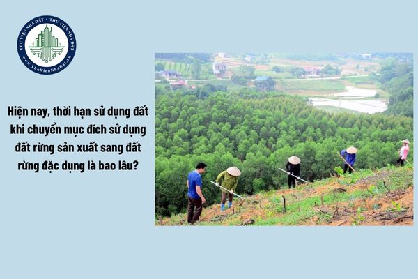 Hiện nay, thời hạn sử dụng đất khi chuyển mục đích sử dụng đất rừng sản xuất sang đất rừng đặc dụng là bao lâu?